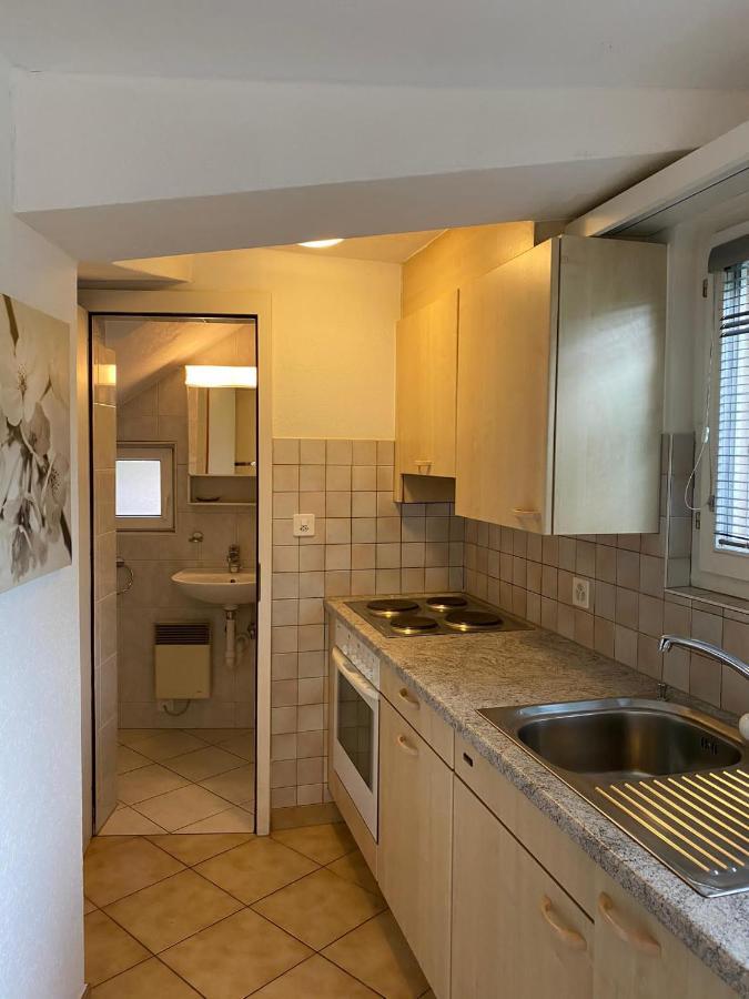 Casa Sibylle Studio - Piccolo Paradiso Minusio Eksteriør billede
