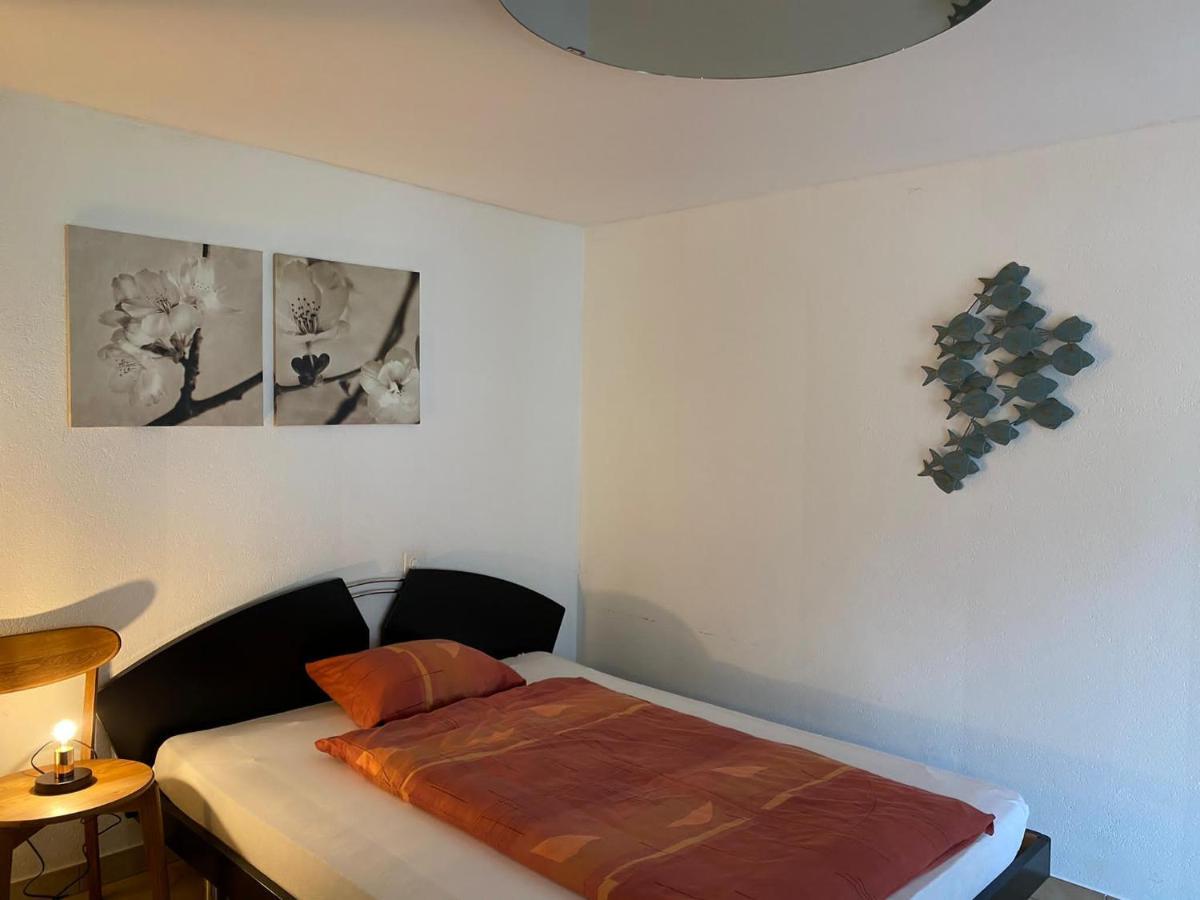 Casa Sibylle Studio - Piccolo Paradiso Minusio Eksteriør billede
