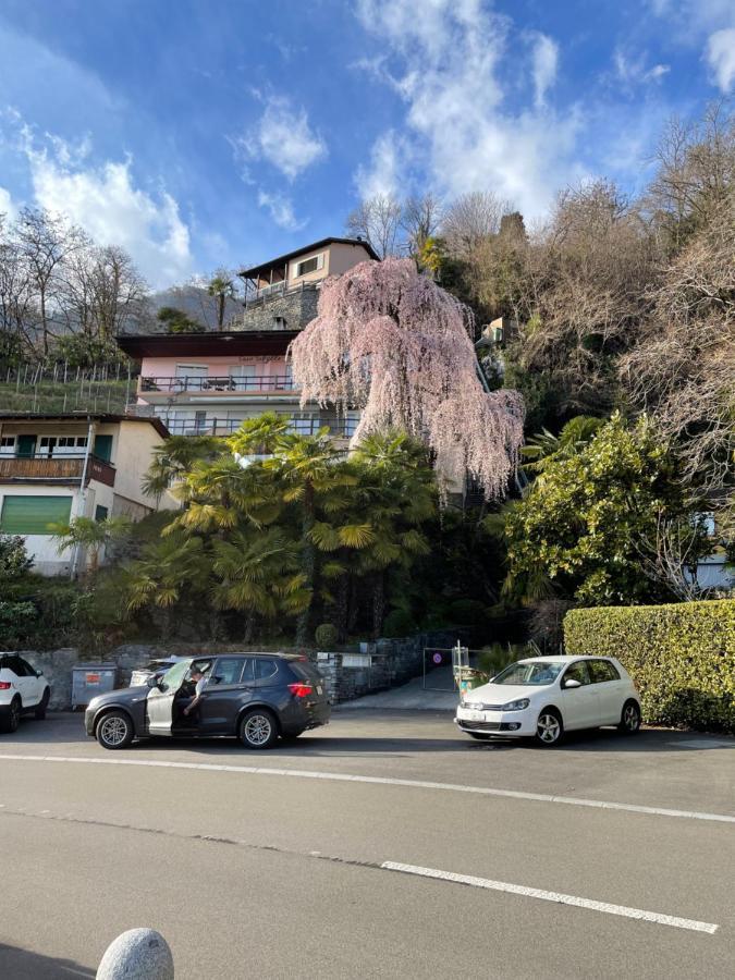 Casa Sibylle Studio - Piccolo Paradiso Minusio Eksteriør billede